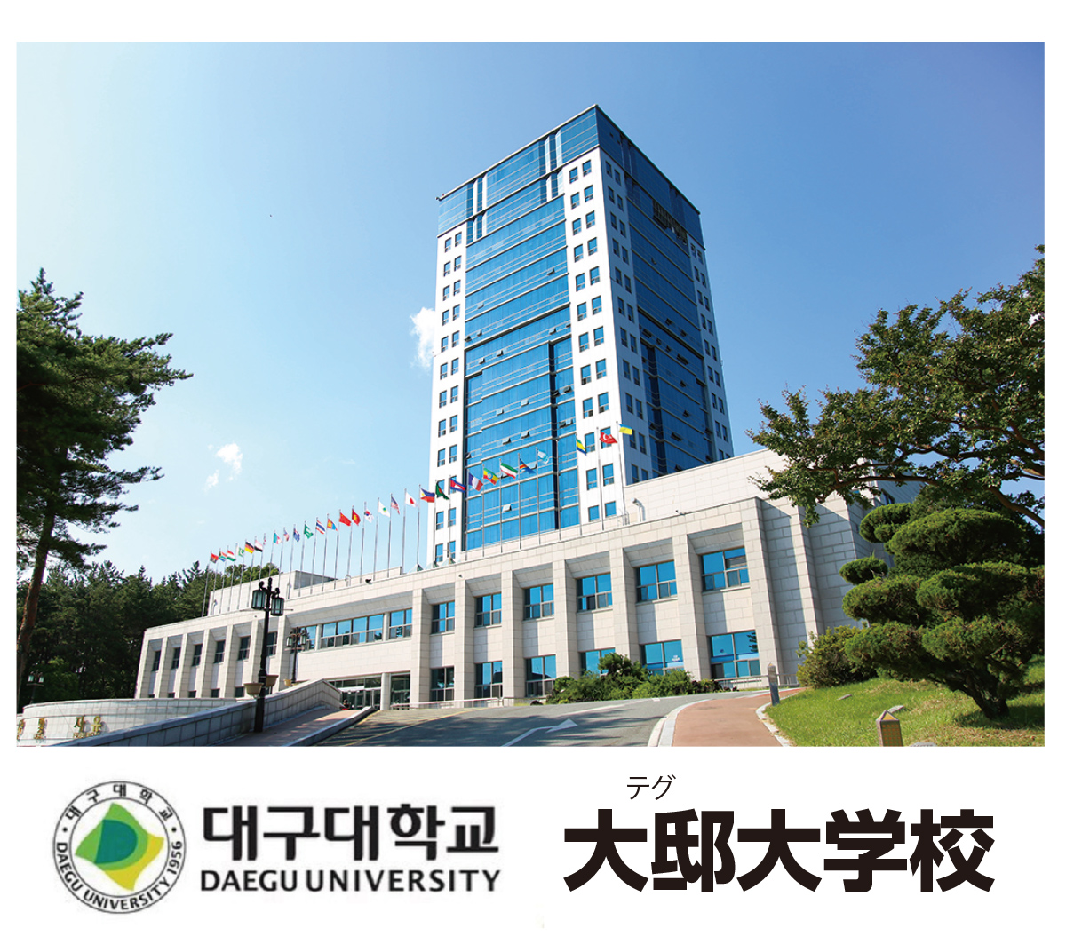 大邸大学校