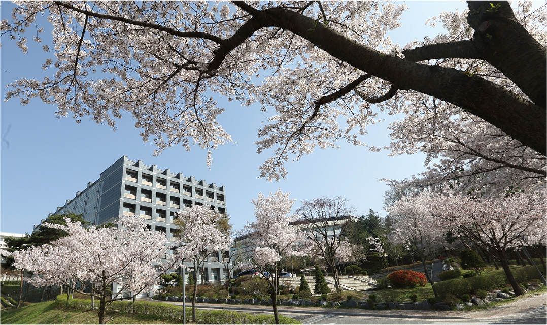 韓国留学